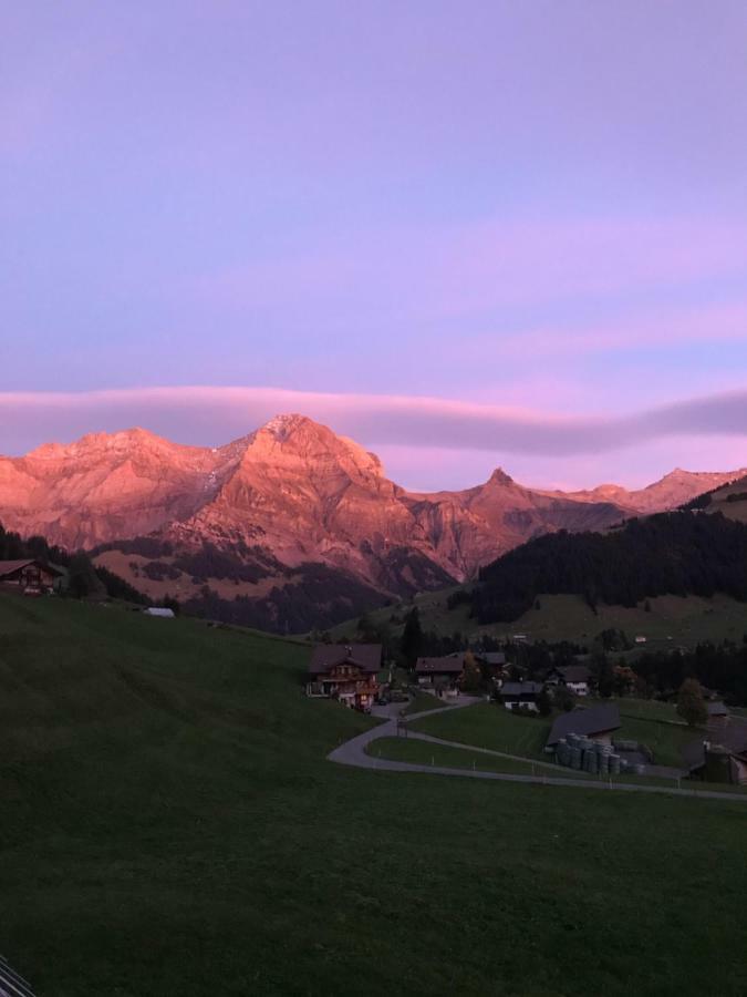 Abelied Hotel Adelboden Exterior photo