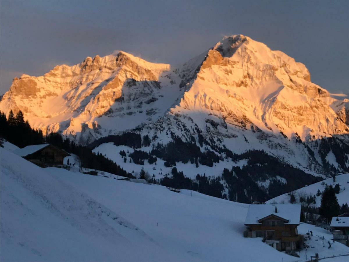 Abelied Hotel Adelboden Exterior photo